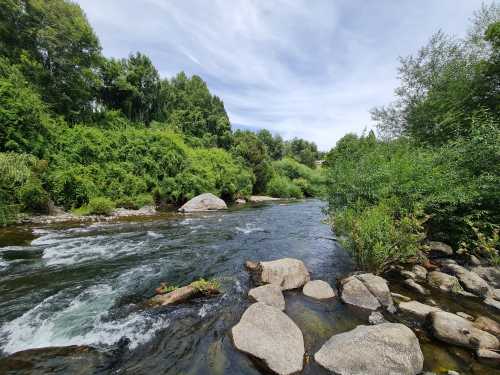 Venta Parcela con Orilla de Ro Liucura, Sector Quetroleufu